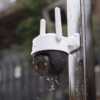 Camara IMOU Cruiser 4G